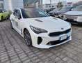 Kia Stinger Stinger 3.3 t-gdi GT awd 366cv auto my18 Bianco - thumbnail 6