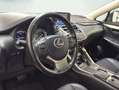 Lexus NX 300 300h Business 2WD Plateado - thumbnail 8