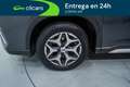 Subaru Forester 2.0i Hybrid Executive CVT Gris - thumbnail 11