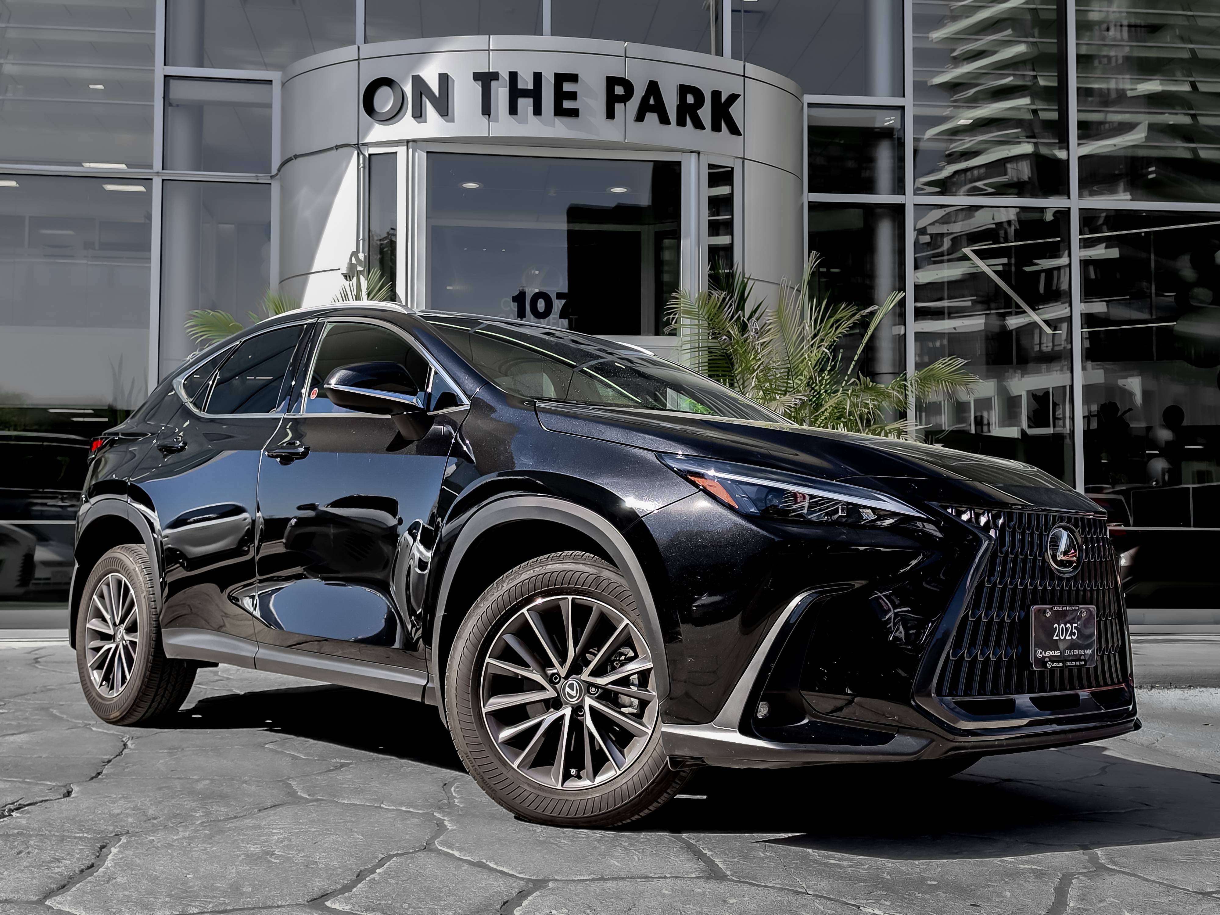 2025 Lexus NX