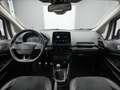 Ford EcoSport ST-Line 125PS/Fahrassistenz&Winter-P. Bianco - thumbnail 12