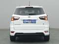 Ford EcoSport ST-Line 125PS/Fahrassistenz&Winter-P. Bianco - thumbnail 7
