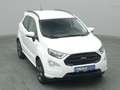 Ford EcoSport ST-Line 125PS/Fahrassistenz&Winter-P. Bianco - thumbnail 37
