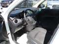 Hyundai i10 Weiß - thumbnail 9
