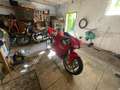 Ducati 998 Rood - thumbnail 26