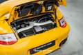Porsche 997 .2 Turbo S Cab. PDK - Speed Yellow - 1 of 301 Jaune - thumbnail 15