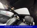 Mercedes-Benz S 350 S350d Lang Chauffeur-Paket Panorama Noir - thumbnail 18