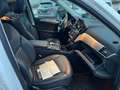 Mercedes-Benz GLS 350 GLS 350 d Premium 4matic auto Bianco - thumbnail 6