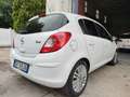 Opel Corsa Corsa 5p 1.2 Edition (elective) 85cv Bianco - thumbnail 19