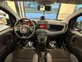 Fiat Panda 0.9 TwinAir Turbo S&S 4x4 Trussardi Verde - thumbnail 17