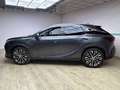 Lexus RX 350h 350h 2.5 premium hybrid Executive e-cvt Grau - thumbnail 3