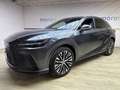 Lexus RX 350h 350h 2.5 premium hybrid Executive e-cvt Grau - thumbnail 1