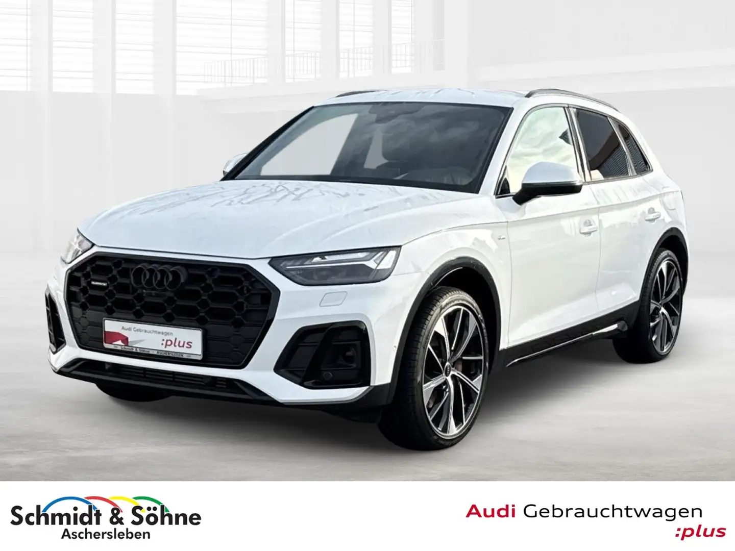 Audi Q5 55 TFSIe S line LUFT, MATRIX, LEDER, HEAD,B&O Weiß - 1