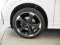 Audi Q2 40 TFSI quattro S tro. S line LED PDC+ SHZ Weiß - thumbnail 14