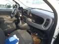 Fiat Panda Panda Cross 1.0 FireFly S&S Hybrid Bianco - thumbnail 6