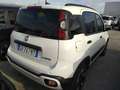 Fiat Panda Panda Cross 1.0 FireFly S&S Hybrid Bianco - thumbnail 5
