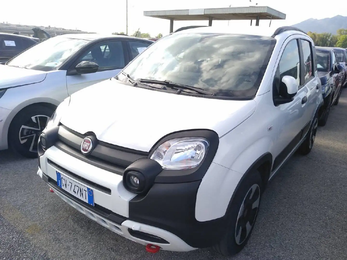 Fiat Panda Panda Cross 1.0 FireFly S&S Hybrid Bianco - 2