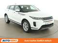 Land Rover Range Rover Evoque 2.0 Td4 HSE Aut. *LED*SPUR*CAM*NAVI* Weiß - thumbnail 8