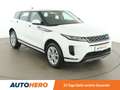 Land Rover Range Rover Evoque 2.0 Td4 HSE Aut. *LED*SPUR*CAM*NAVI* Weiß - thumbnail 8