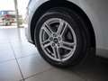 Ford Focus 1.5 tdi 120 cv Business 36 mesi di garanzia Grigio - thumbnail 8