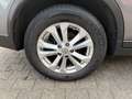 Nissan X-Trail Acenta 4x4/NAVI/PANO/7SITZER/AHK/360KAME Gris - thumbnail 16