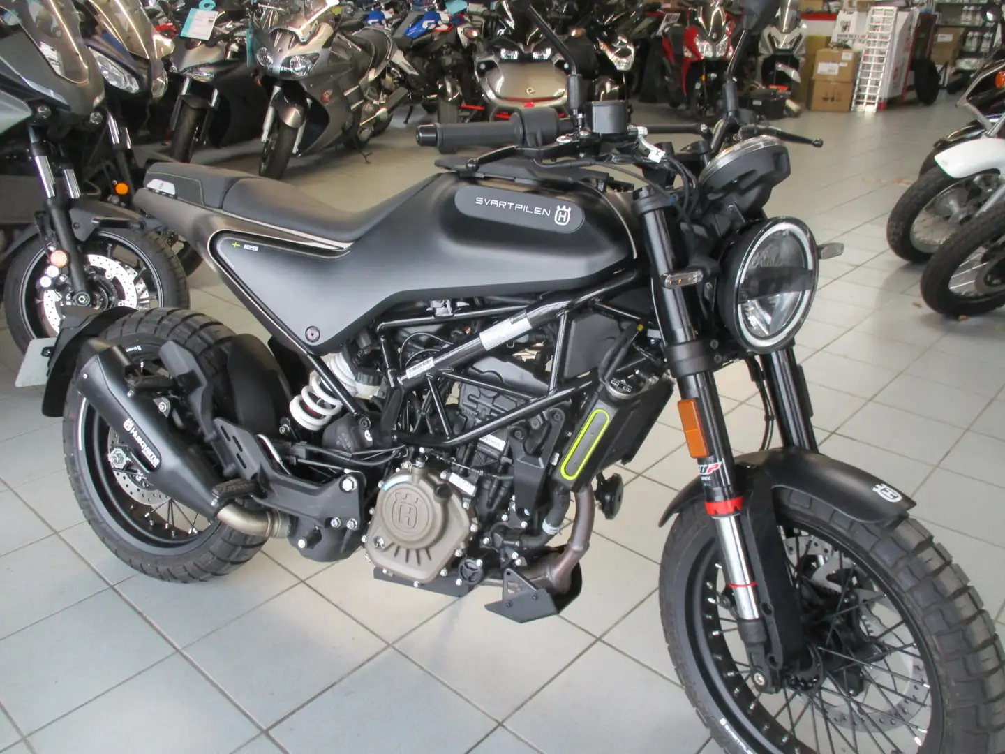 Husqvarna Svartpilen Gris - 2