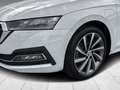 Skoda Octavia Combi iV Style 1.4 TSI DSG Sitzheizung Weiß - thumbnail 6