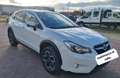Subaru XV 2.0TD Executive Plus Weiß - thumbnail 5