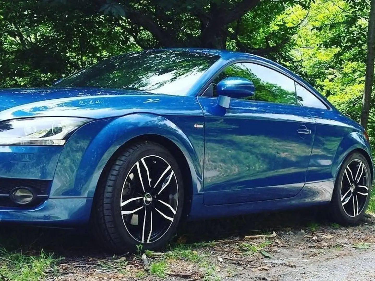 Audi TT TT Coupe 2.0 tdi quattro Blu/Azzurro - 1