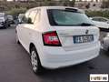 Skoda Fabia 1.0 mpi Active 60cv Bianco - thumbnail 7