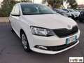 Skoda Fabia 1.0 mpi Active 60cv Bianco - thumbnail 3