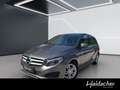 Mercedes-Benz B 200 CDI 4MATIC PTS Shz LED Klima Grau - thumbnail 1
