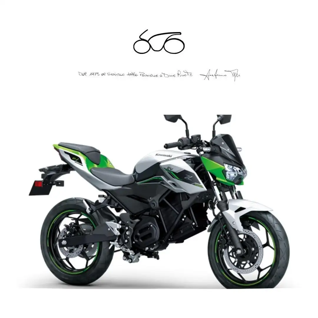 Kawasaki 2024 Grigio - 1