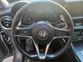 Alfa Romeo Stelvio 2.2 t Business Q4 180cv auto - thumbnail 11