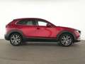 Mazda CX-30 SKYACTIV-G HuD|Kamera|LED|SHZ|PDC|Tempo Rouge - thumbnail 5