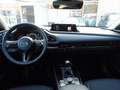 Mazda CX-30 Homura 150ps Schalter Navigation Blanc - thumbnail 5