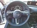 Mazda CX-30 Homura 150ps Schalter Navigation Blanc - thumbnail 6