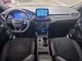Ford Kuga Kuga III 2020 1.5 ecoblue ST-Line X 2wd 120cv auto Grigio - thumbnail 13