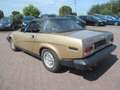 Triumph TR7 1982  H-Kennzeichen Cabrio Gold - thumbnail 4