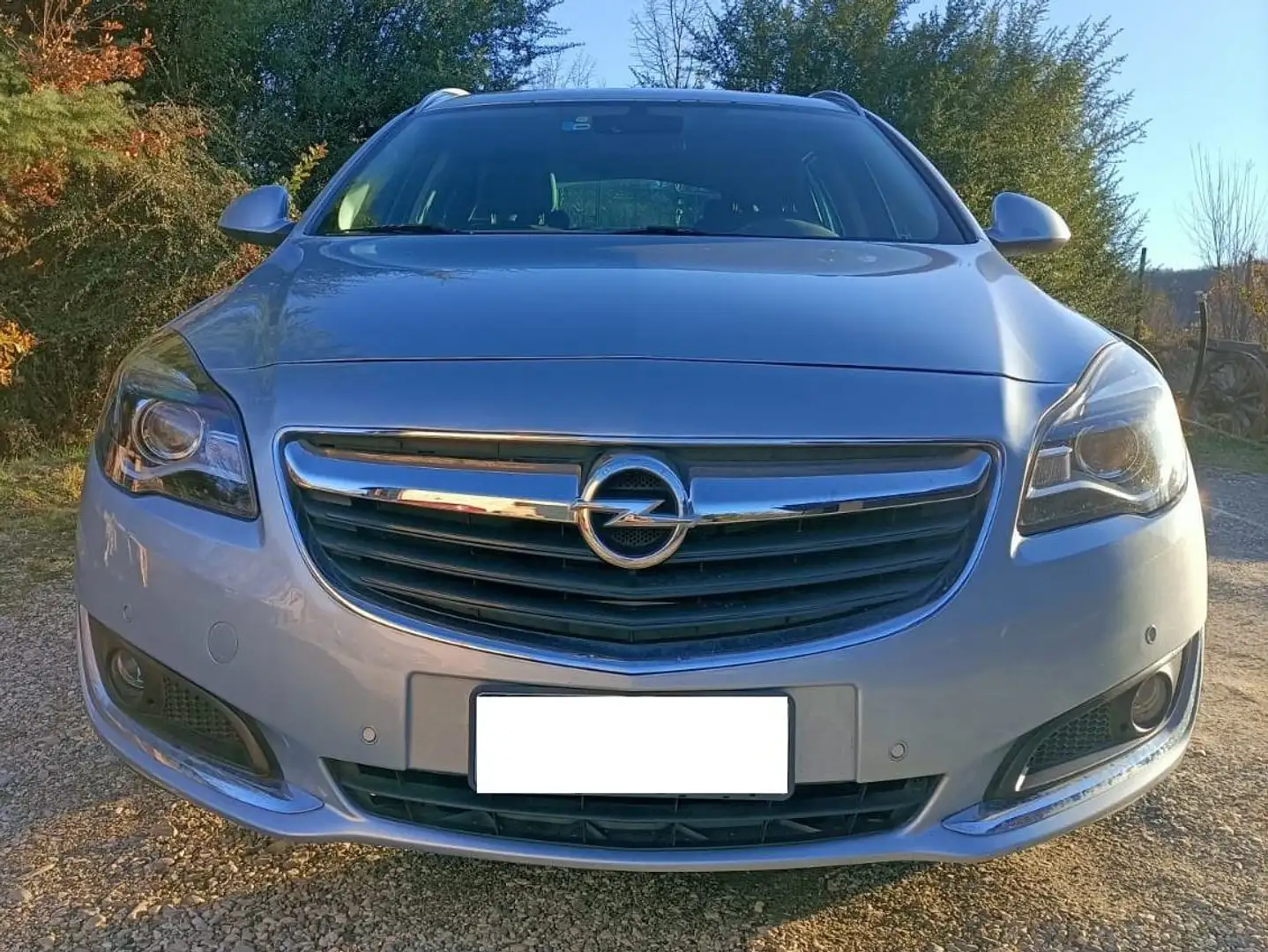 Opel Insignia Sports Tourer 2.0 cdti Cosmo 4x4 170cv E6 - 2
