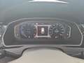 Volkswagen Passat Variant Business 2.0 l TSI DSG, LED/AHK/K Weiß - thumbnail 11