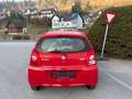 Suzuki Alto Alto 1,0 GA *Klima* Rot - thumbnail 5