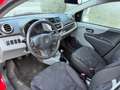 Suzuki Alto Alto 1,0 GA *Klima* Rot - thumbnail 7