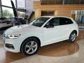 Audi Q5 2.0TDI S line quattro-ultra S tronic 120kW Blanc - thumbnail 36
