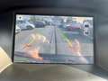 Ford Focus Turnier 1.5 EcoBoost ST-Line Navi+SHZ+Kam. Zwart - thumbnail 11