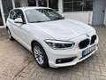 BMW 116 d Advantage Navi Prof LED Sitzhzg Weiß - thumbnail 4