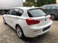 BMW 116 d Advantage Navi Prof LED Sitzhzg Weiß - thumbnail 7