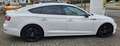 Audi A5 Sportback 35 TDI basis Blanc - thumbnail 13