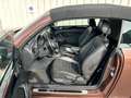 Volkswagen Beetle 1.4 TSI Exclusive DSG Brons - thumbnail 9