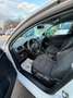 Volkswagen Golf Comfortline Weiß - thumbnail 11